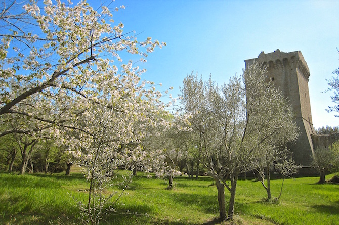 Ancient Tower - Pienza Montichello Tuscany for sale