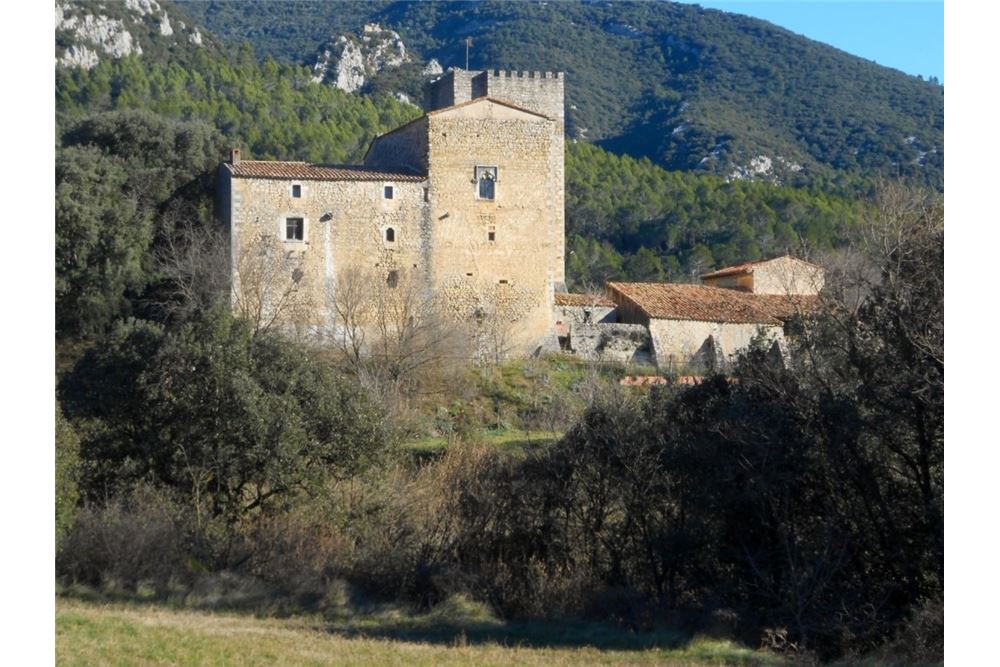 Whispers of the 10th Century: A Catalan Crown Reborn in Stone