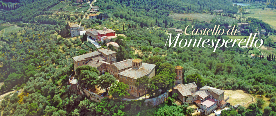 Castello di Montesperello for sale