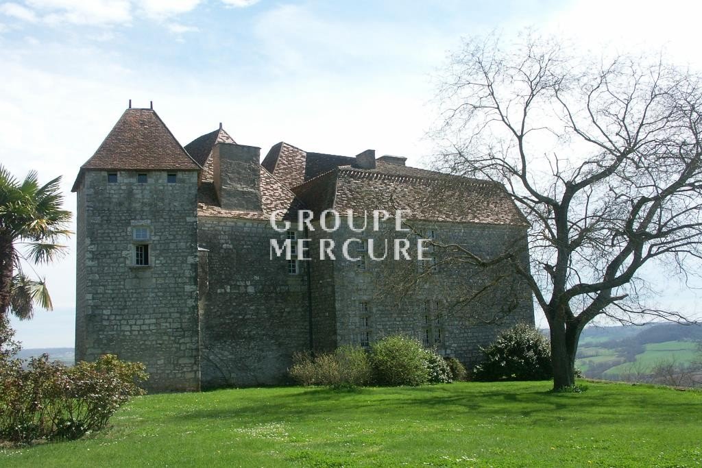 Castle nr Villeneuve sur Lot France for sale