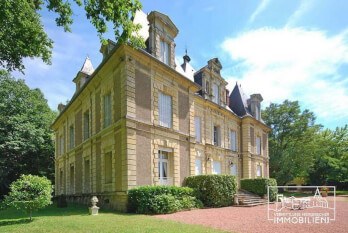 Chateau for sale nr Imphy Loire Valley
