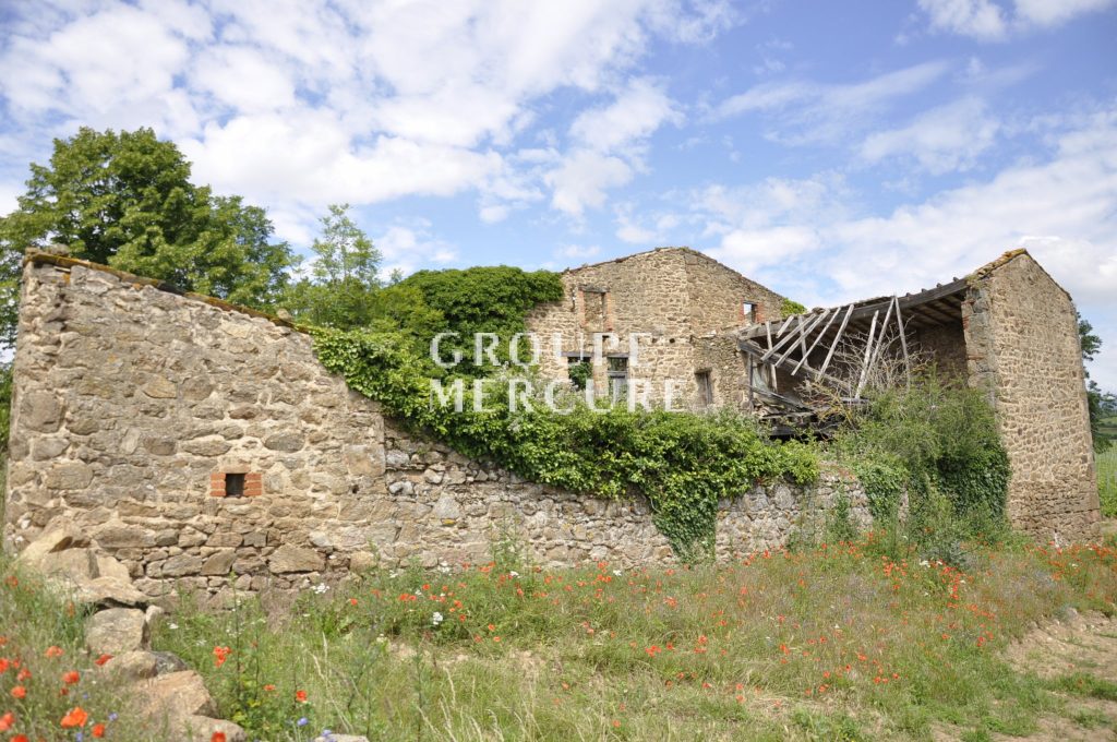 Derelict Castle in Chanas France for sale