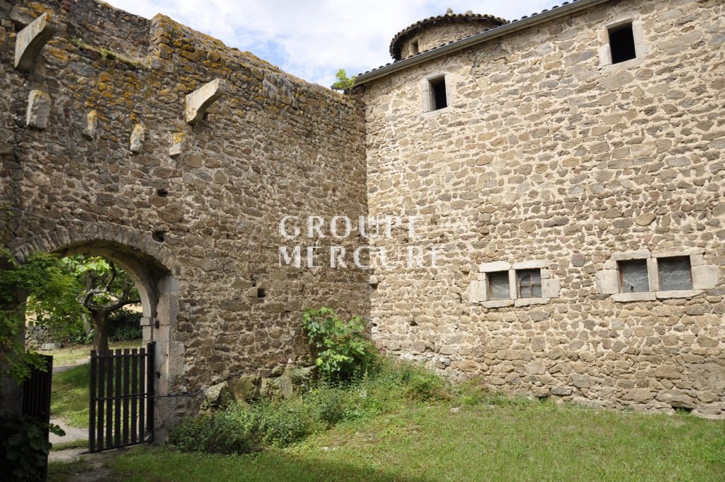 Derelict Castle in Chanas France for sale