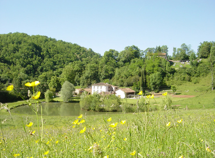 Domaine de la Grausse: Where Time Unfolds in Sunlit Elegance