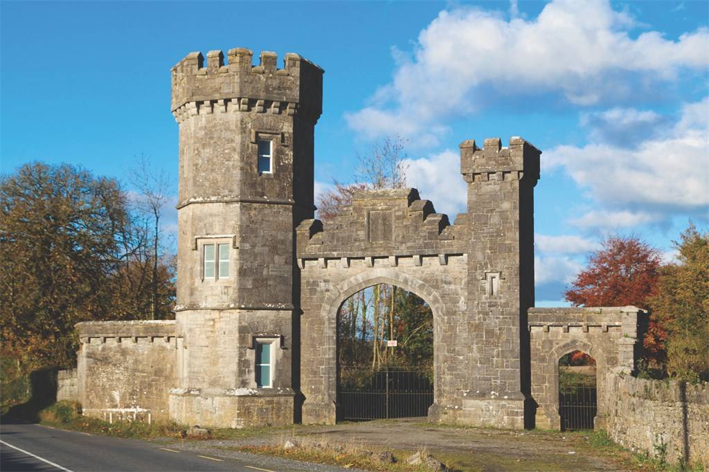 Knockdrin: A Gothic Dream Woven in Stone and Whispering Woods