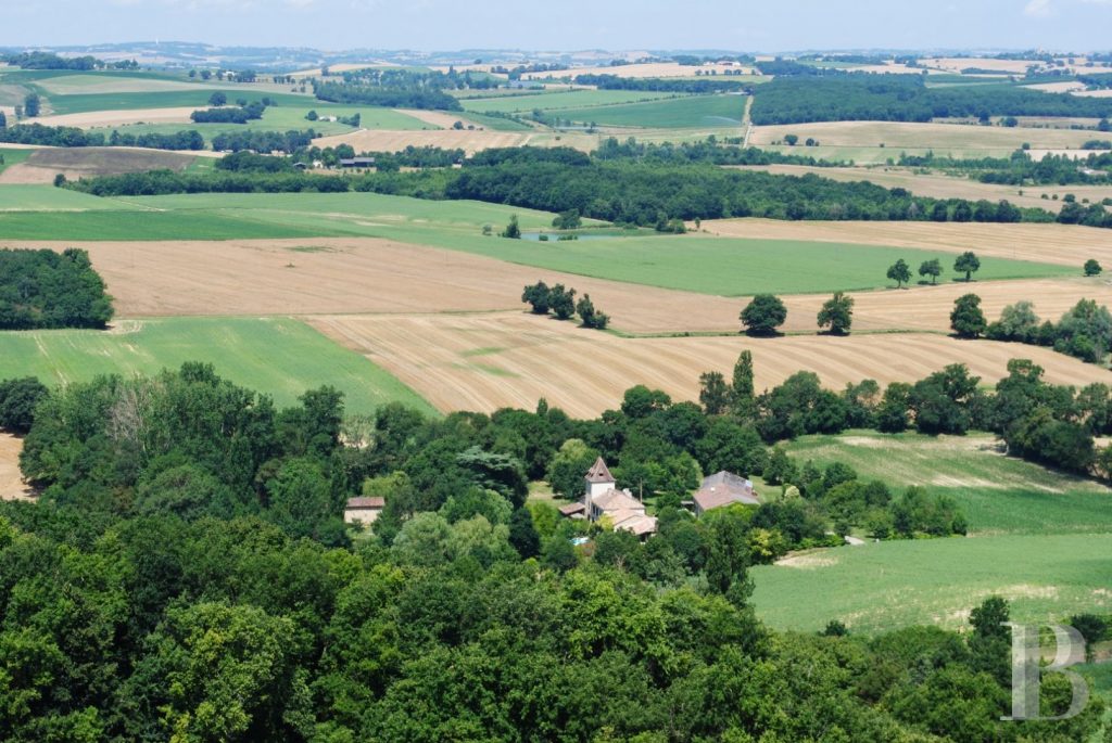 Whispers of Gascony: A 14th-Century Castle Between Sun and Shadow