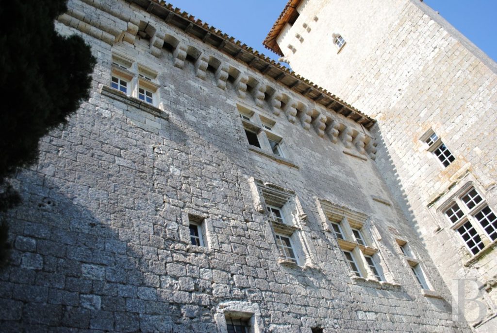 Whispers of Gascony: A 14th-Century Castle Between Sun and Shadow