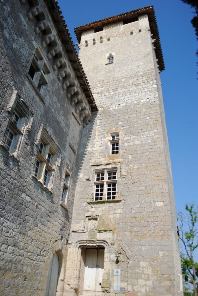 Whispers of Gascony: A 14th-Century Castle Between Sun and Shadow