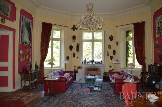 Les Herbiers France 17th and 19th century chateau for sale