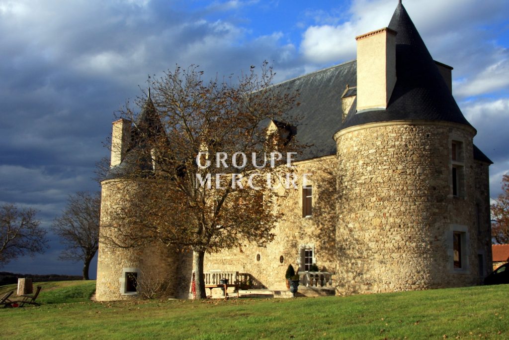 Limagne France Castle for sale