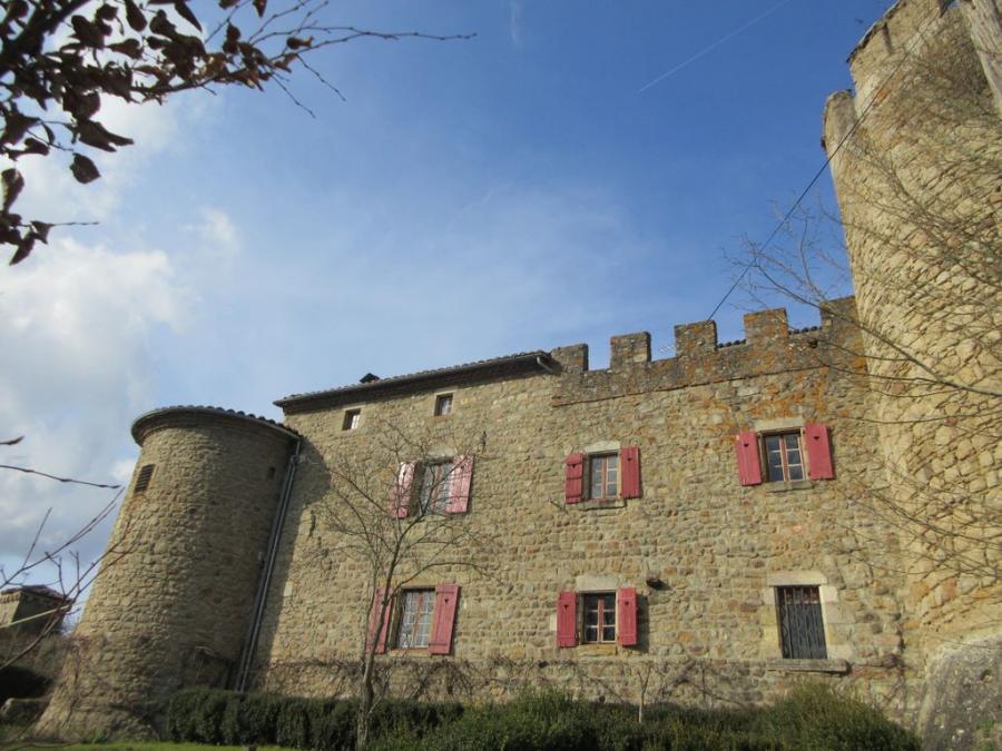 Listed Castle nr Thiers for sale