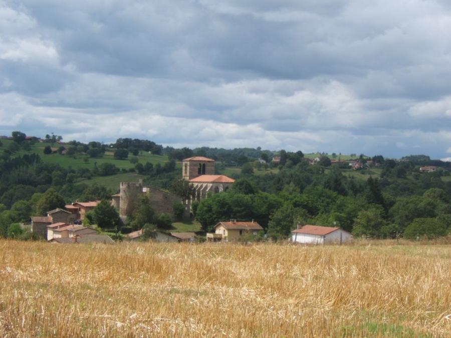 Le Château des Brumes: A 13th-Century Watchtower Over the Gorges of La Dore