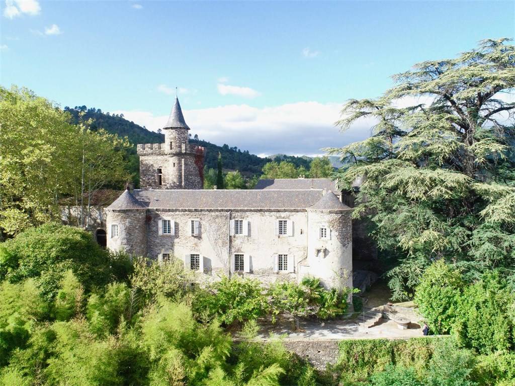 Lozere France X!V century Castle for sale