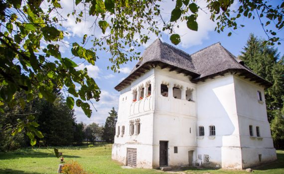 Măldărești’s Timeless Citadel: A Fortress of Legends Awaits