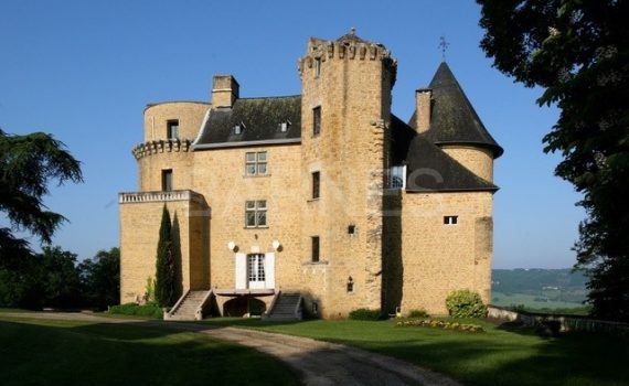 Martel Chateau for sale