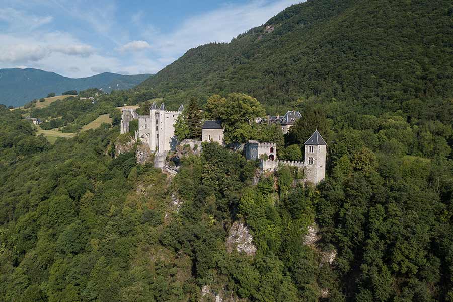 Medieval Castle for sale St Pierre d'Albigny France