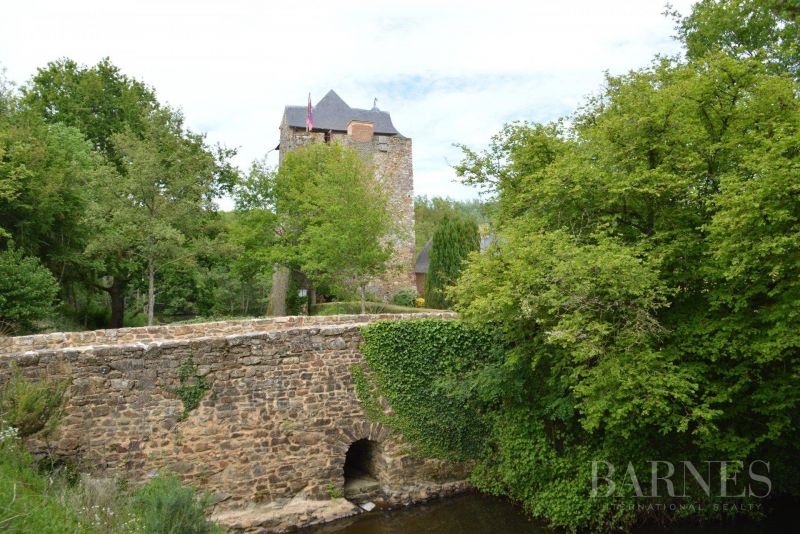 Moated Medieval Castle Segré-en-Anjou Bleu France for sale