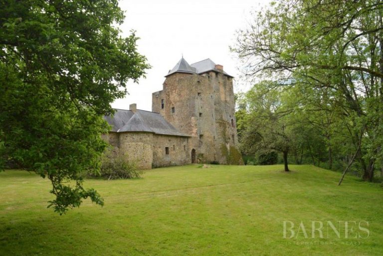 €595k MaineetLoire, FRANCE. Moated Medieval Castle Castleist