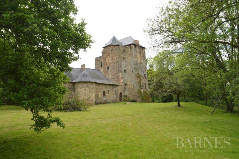Moated Medieval Castle Segré-en-Anjou Bleu France for sale