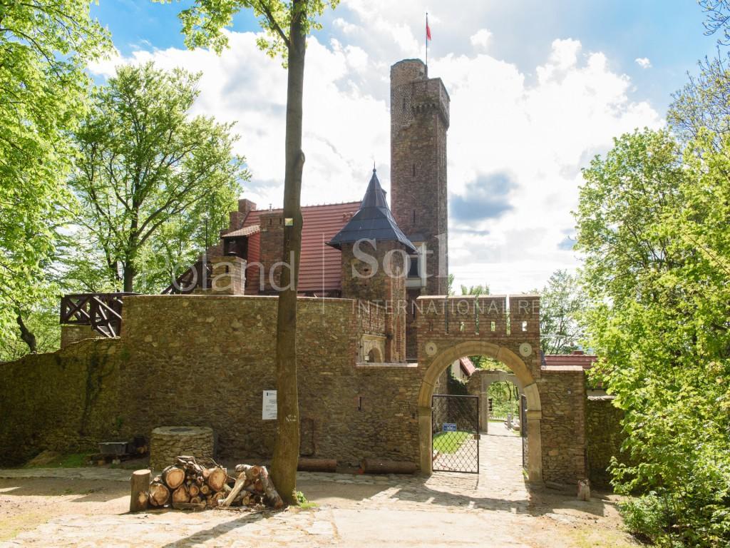 Rajsko Castle Poland for sale