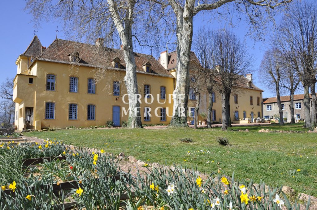 Roanne France Sublime Chateau for sale