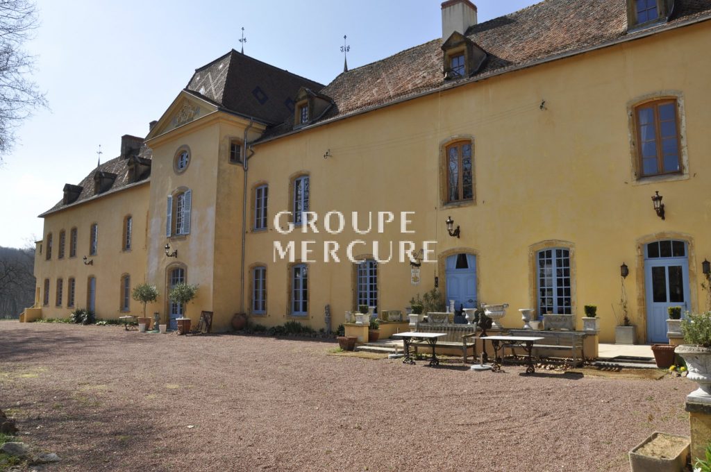 Roanne France Sublime Chateau for sale