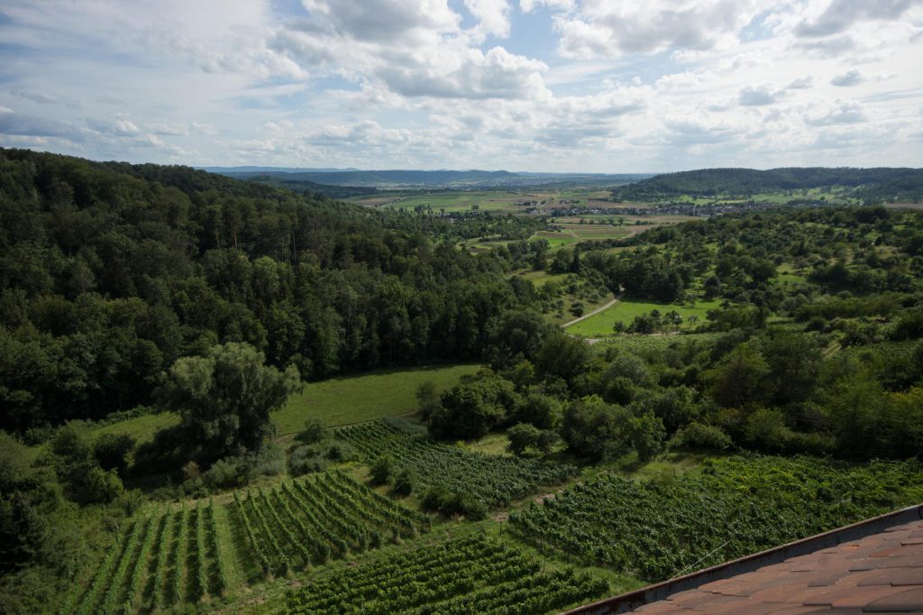 Schloss Roseck: A Phoenix Rising from Centuries of Whispered Legends - 5