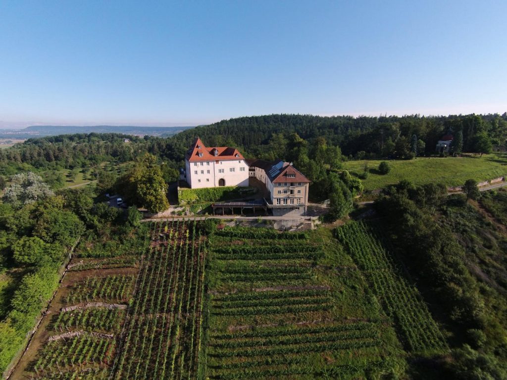 Schloss Roseck: A Phoenix Rising from Centuries of Whispered Legends