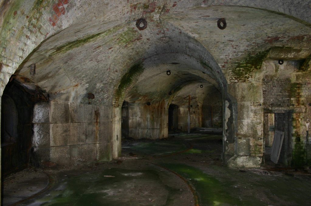 The Sentinel’s Crown: A Victorian Fortress Upon the Sea