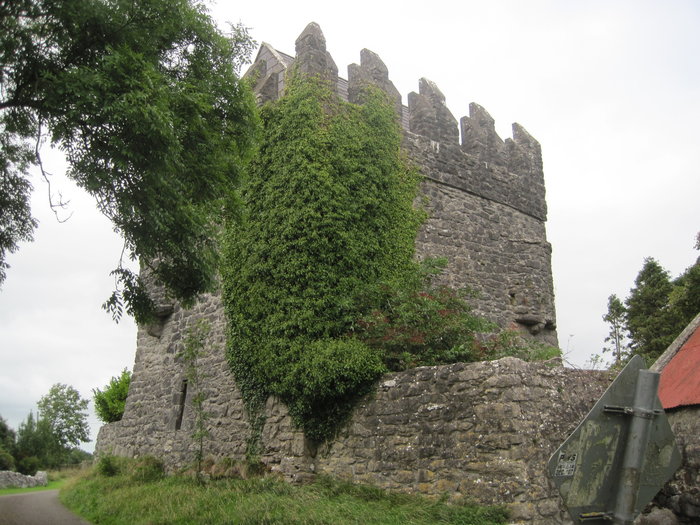 Strongford Castle for sale Ireland