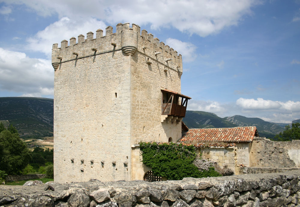 Torre San Martin for sale Spain