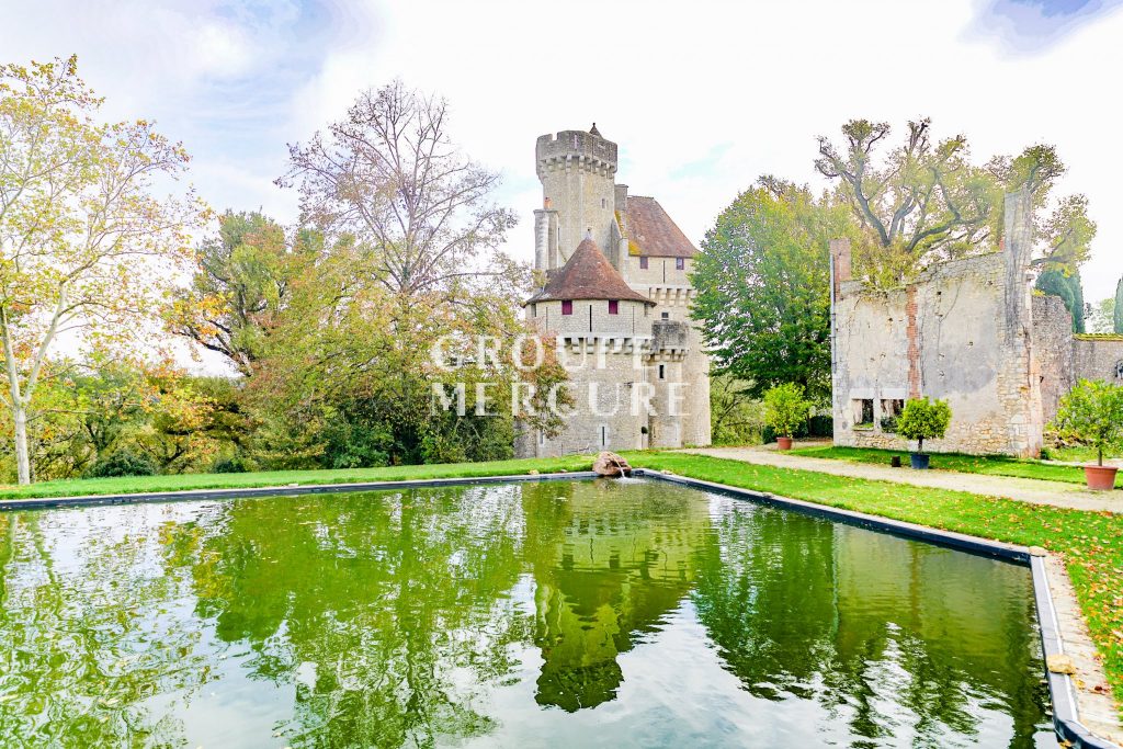 Tournon-Saint-Martin France 11th Century Castle for sale