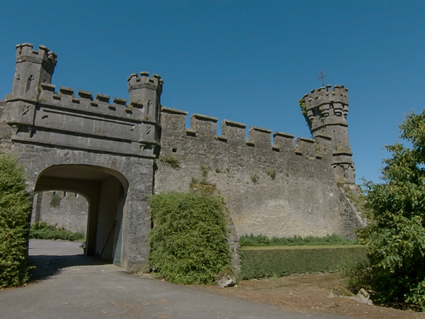 Tullamaine Castle for sale