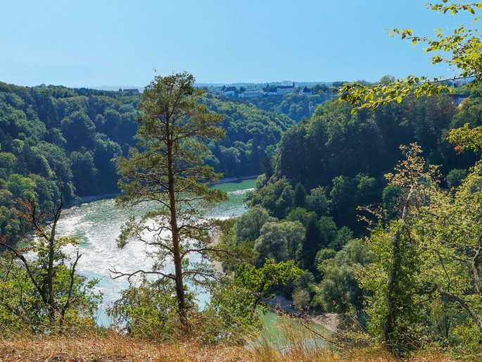 Whispers of the Salzach: A Crown Jewel Above the River’s Song