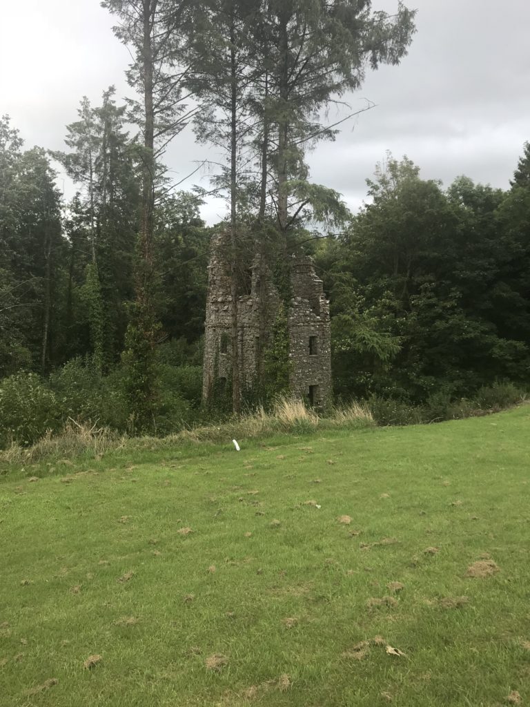 castle curious irish castle for sale