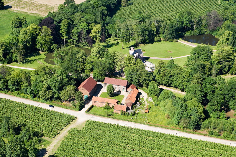 Kasteel Vroenhoven: A Timeless Belgian Vineyard Château, Reborn