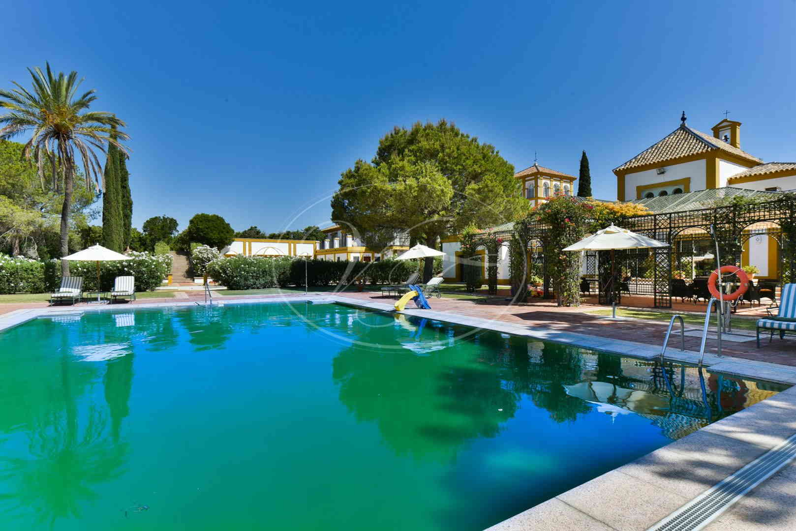 Palatial Estate for sale Seville Spain Villas and Fincas 1