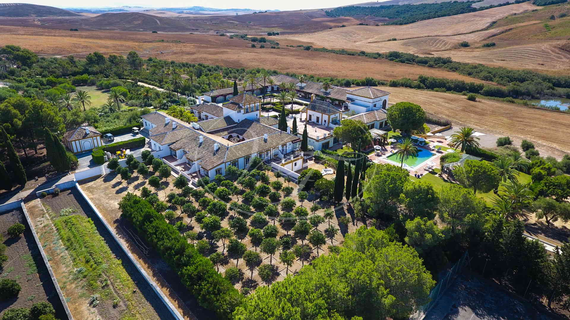Palatial Estate for sale Seville Spain Villas and Fincas 3