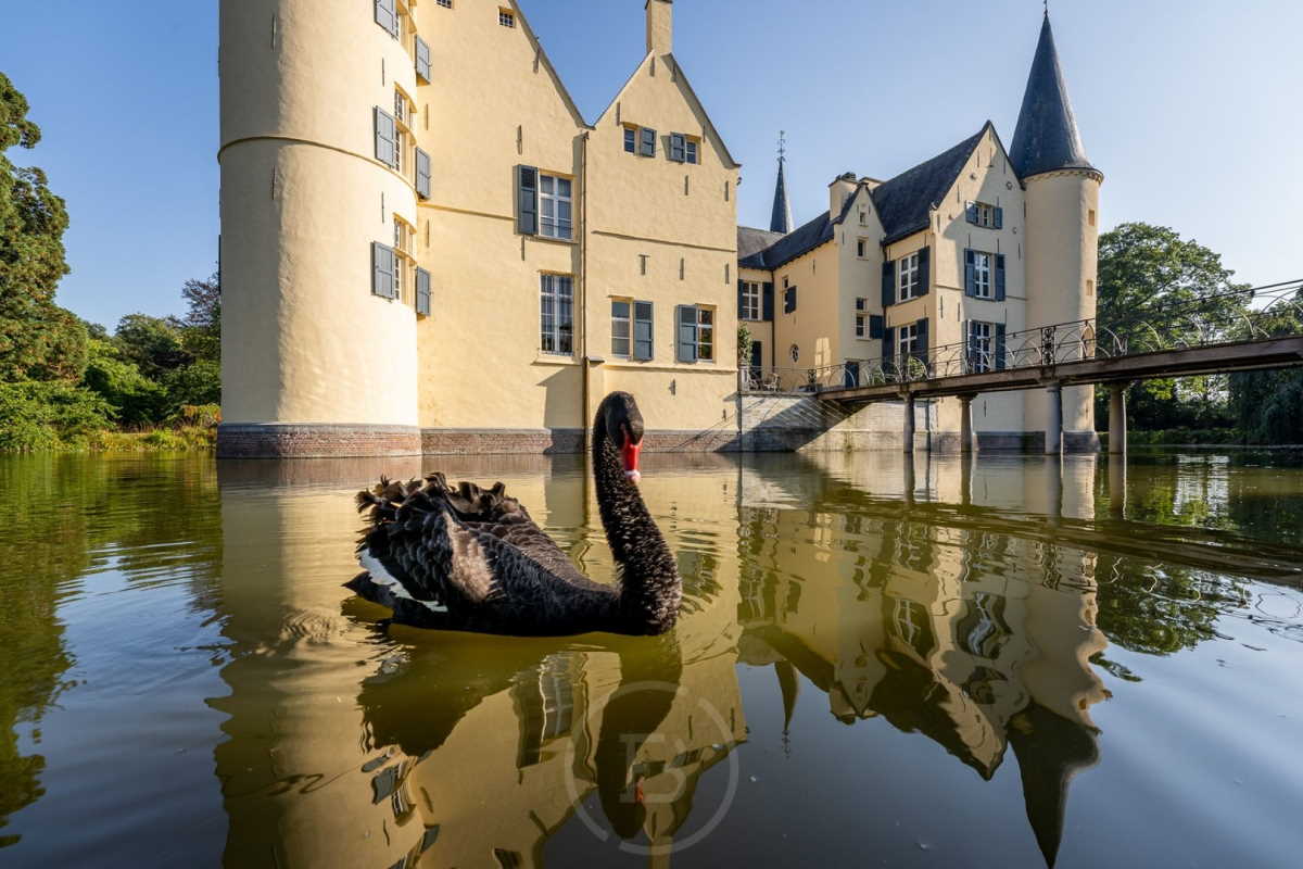 Hof Van Rameyen: Where Rubens’ Legacy Meets Timeless Elegance