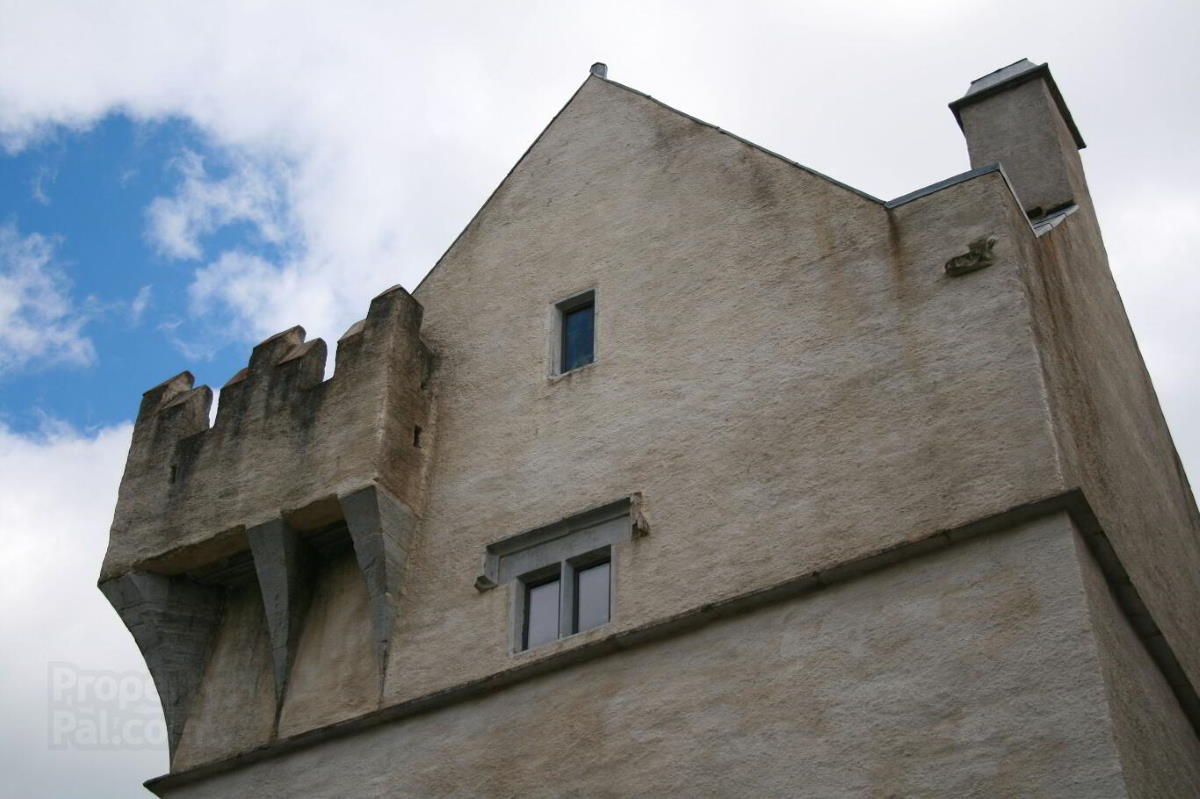 Monkstown Castle: A 1636 Tower Rising from Cork’s Whispering Woods