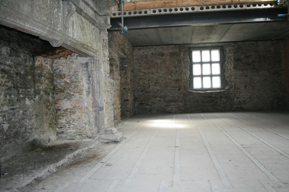 Monkstown Castle: A 1636 Tower Rising from Cork’s Whispering Woods