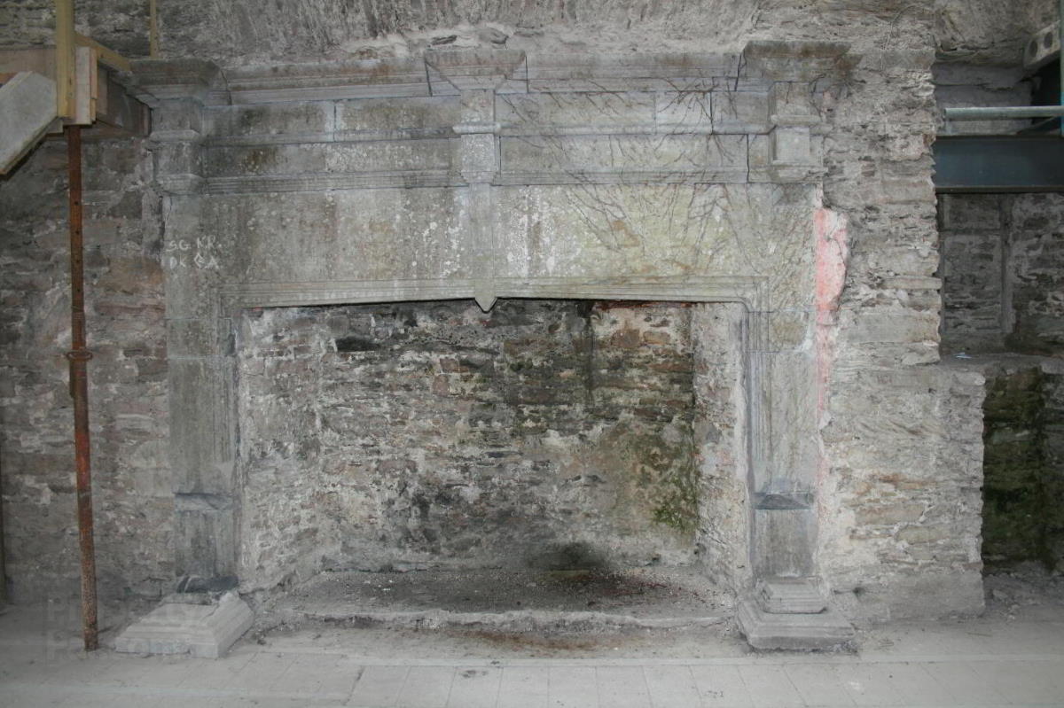 Monkstown Castle: A 1636 Tower Rising from Cork’s Whispering Woods