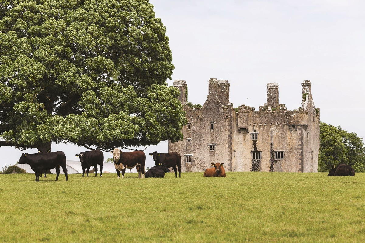 €8.5m IRELAND. Killaleigh Castle For Sale Castleist