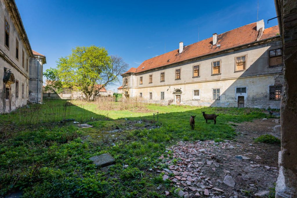 Baroque Castle for sale in Citoliby Czechia 15