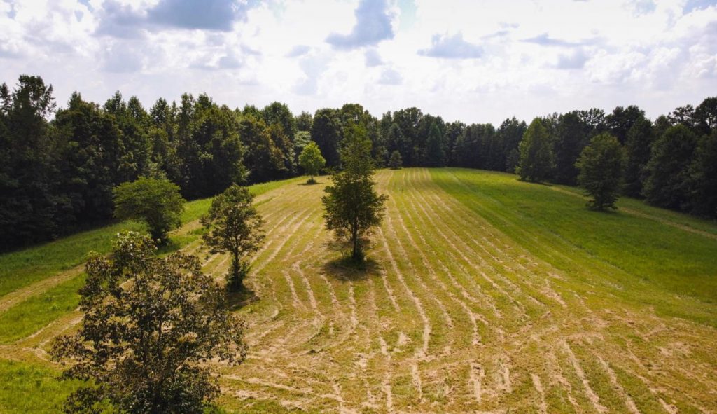 A Sovereign’s Retreat: 63 Acres of Tennessee Majesty & Whispering Trails