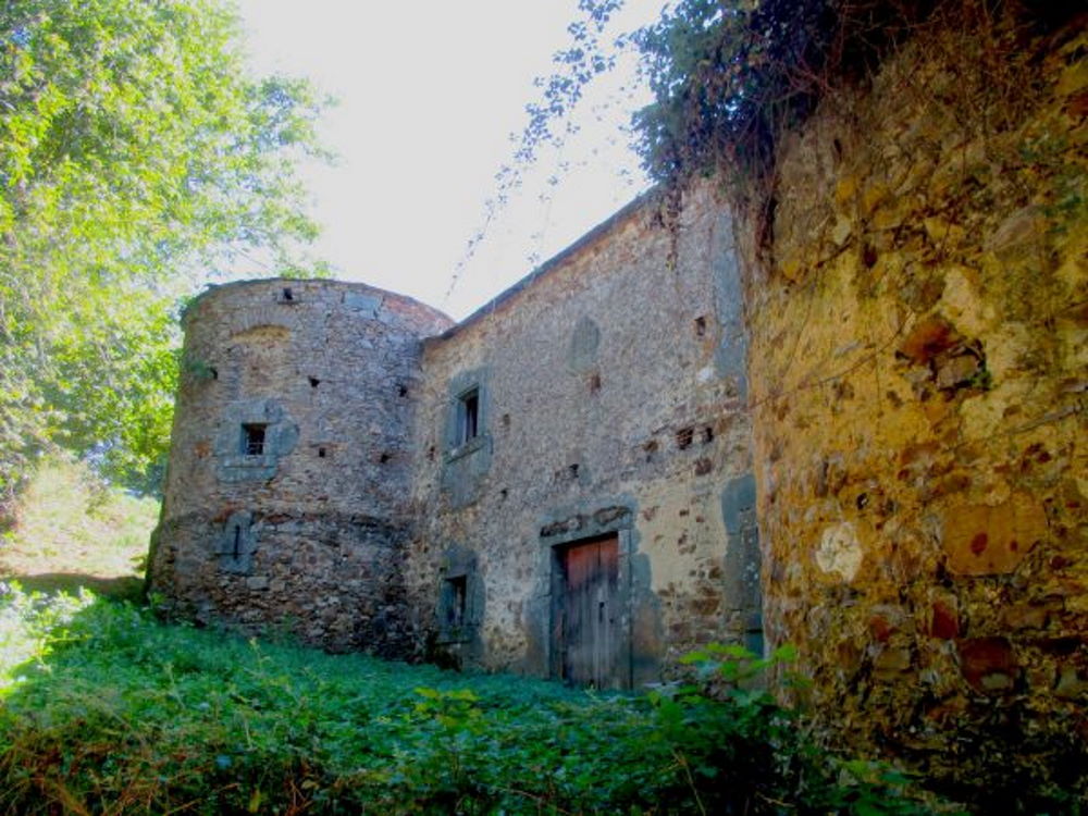 Los Ancares SPAIN 14th century castle for sale 2
