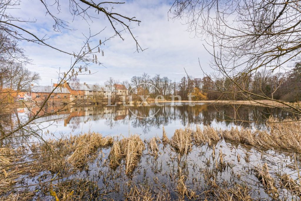 Whispers of the Rosenberg: A 15th-Century Fortress by the Silvered Pond