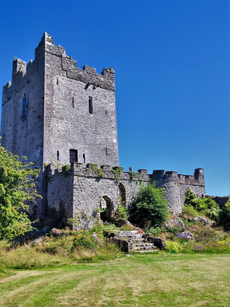 €POA Co. Offaly, IRELAND. Medieval Clonony Castle For Sale Castleist