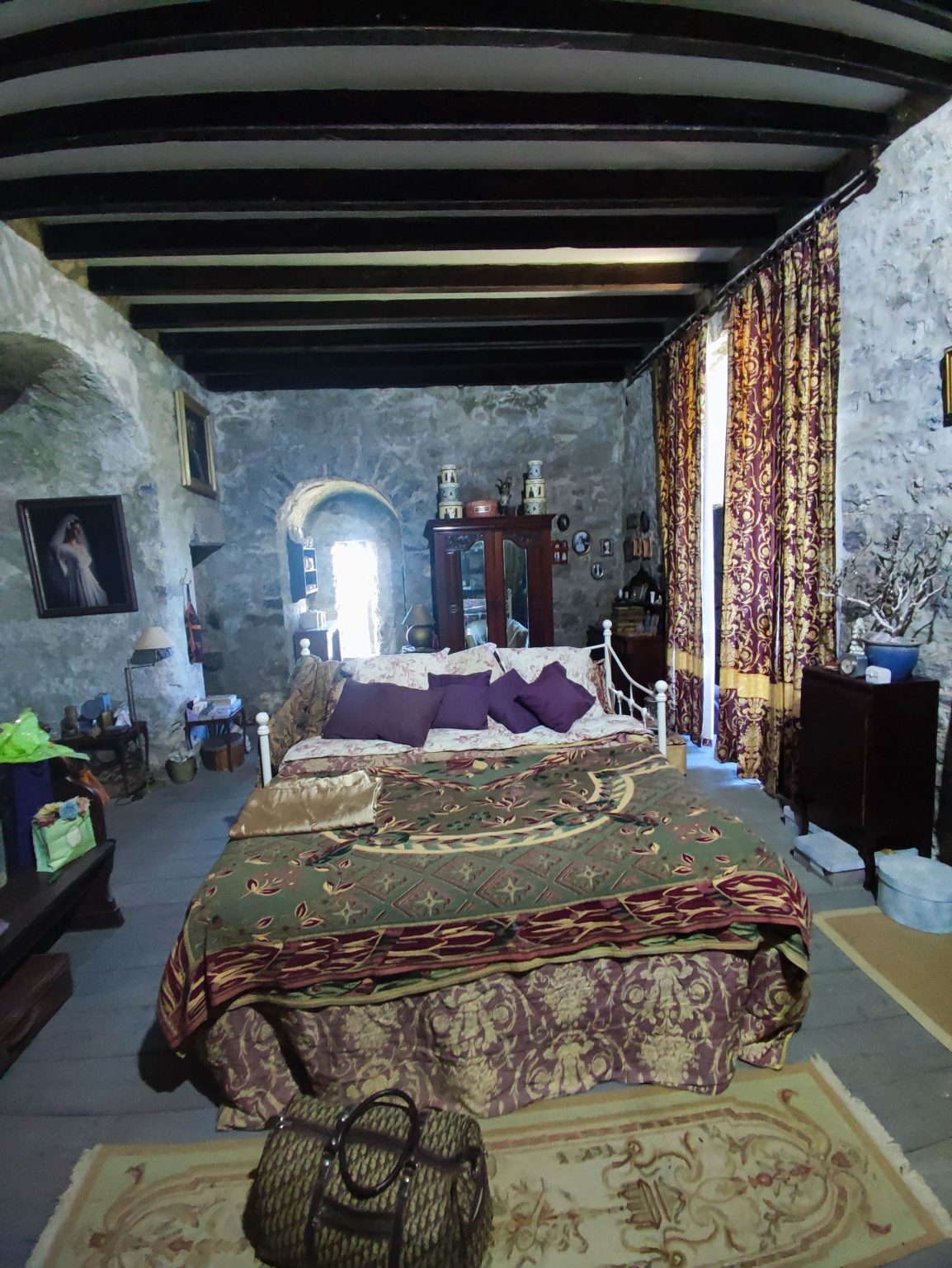 €POA Co. Offaly, IRELAND. Medieval Clonony Castle For Sale Castleist