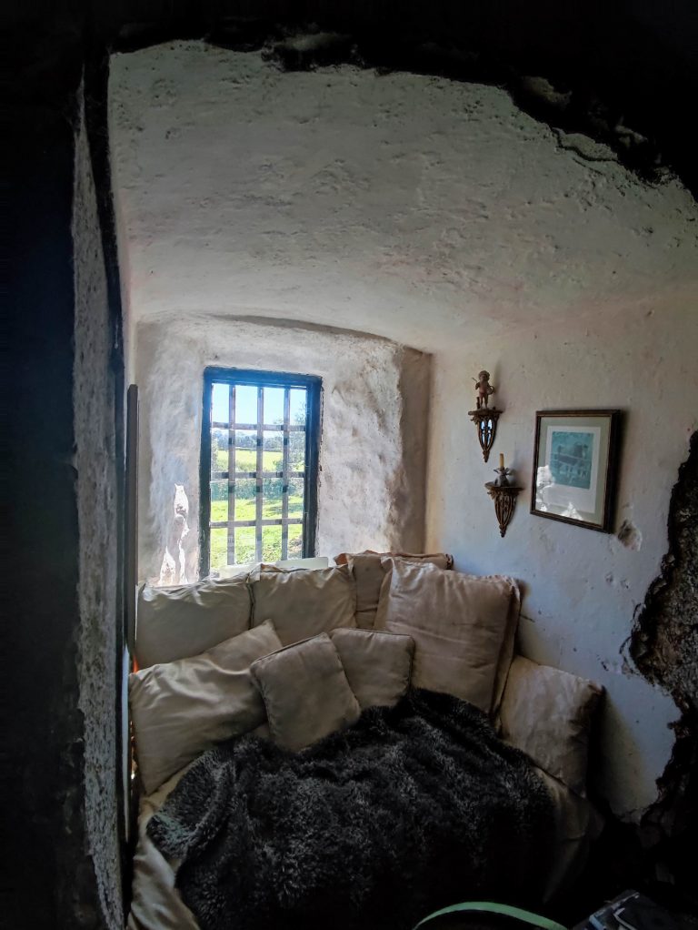 €POA Co. Offaly, IRELAND. Medieval Clonony Castle For Sale Castleist